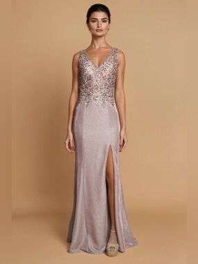 Sleeveless V-Neck Embellished Evening Gown in Blush